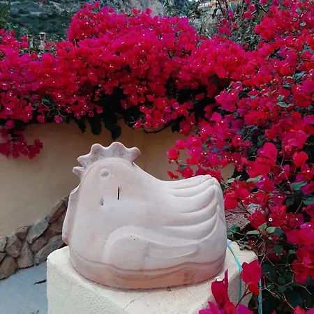 Sa Corte Antiga * Nebida