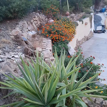 Sa Corte Antiga * Nebida