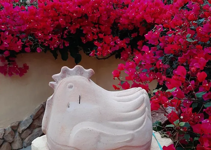 Sa Corte Antiga * Nebida