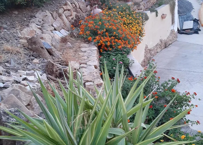 Sa Corte Antiga * Nebida