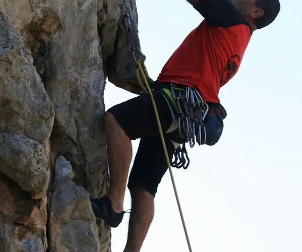 Sa Corte Antiga * Nebida