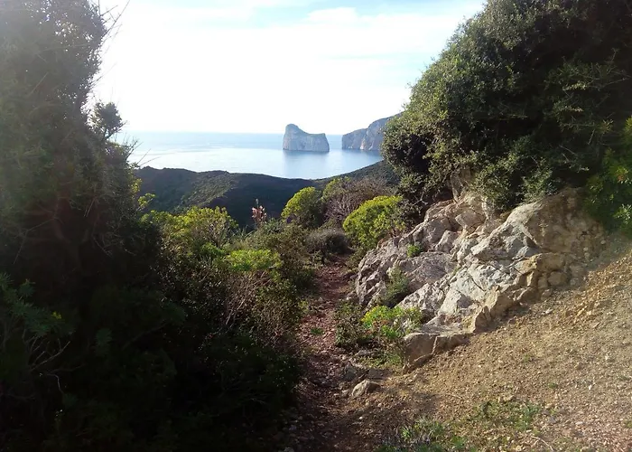Sa Corte Antiga Nebida